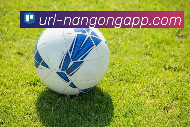 南宫体育APP 体育赛事宣传图